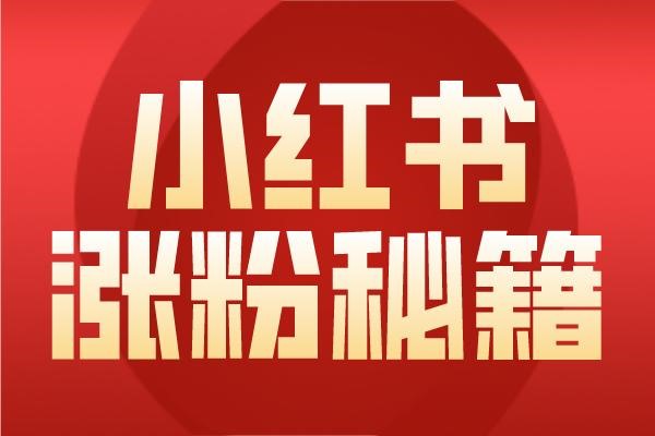 小红书号丢了怎么找回来?